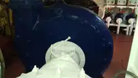 Dragă de vânzare