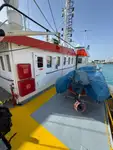 Nava container de vânzare