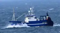 Nava de pescuit tip trauler de vânzare