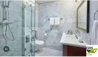Navă de croazieră de vânzare