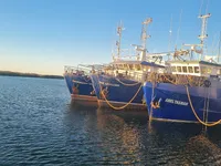 Nava de pescuit tip trauler de vânzare