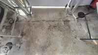 Navă de croazieră de vânzare