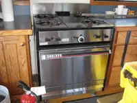 Navă de croazieră de vânzare