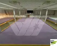 Navă Ro-Ro de vânzare