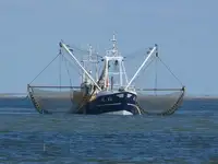 Trawler de vânzare