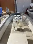 Ambarcațiuni de lucru de vânzare
