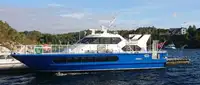 Navă de feribot de vânzare