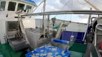 Nava de pescuit cu plase tip traul de vânzare