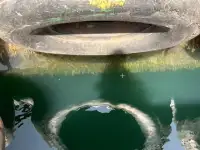 Remorcher de vânzare
