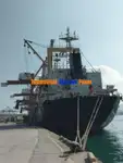 Nava de transport marfă vrac de vânzare