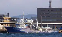 Nava de pescuit cu plase purseine de vânzare