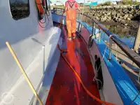 Navă de feribot de vânzare