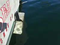 Nava de pescuit tip trauler de vânzare