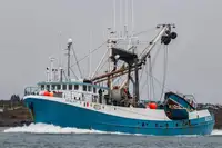 Nava de pescuit cu plase purseine de vânzare