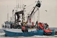 Nava de pescuit cu plase purseine de vânzare