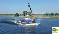 Bărci de lucru de vânzare