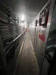 Navă de transport echipaj de vânzare