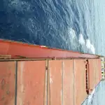 Nava de transport marfă vrac de vânzare