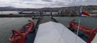 Nava de transport marfă vrac de vânzare