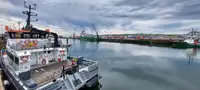 Catamaran de vânzare