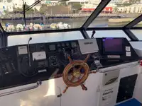 Catamaran de vânzare