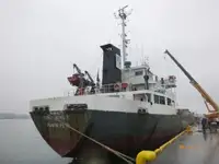 Nava de transport marfă vrac de vânzare