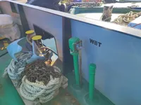 Nava container de vânzare