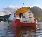 Navă de feribot de vânzare