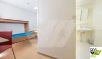 Navă Ro-Ro de vânzare