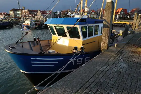 Nava de pescuit tip trauler de vânzare