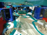 Trawler de vânzare