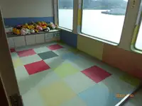 Navă de feribot de vânzare