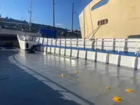 Navă de feribot de vânzare