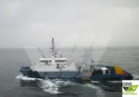 Bărci de lucru de vânzare