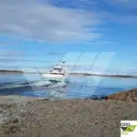 Navă Ro-Ro de vânzare