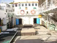 Nava de pescuit cu linii lungi de vânzare