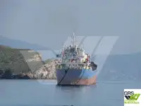 Nava de transport marfă vrac de vânzare
