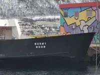 Navă Ro-Ro de vânzare