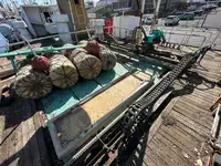 Nava de pescuit tip trauler de vânzare