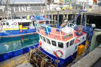 Nava transportoare de GNL de vânzare