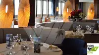 Navă de croazieră de vânzare