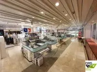 Navă de croazieră de vânzare