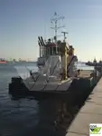 Ambarcațiuni de lucru de vânzare