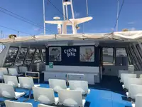 Catamaran de vânzare