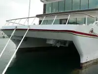 Catamaran de vânzare