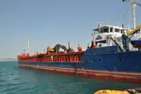 Nava de transport marfă vrac de vânzare
