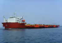 Nava de transport marfă vrac de vânzare