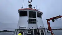 Remorcher de vânzare