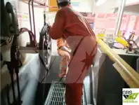 Navă de sondaj de vânzare