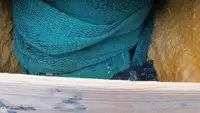 Nava de pescuit tip trauler de vânzare